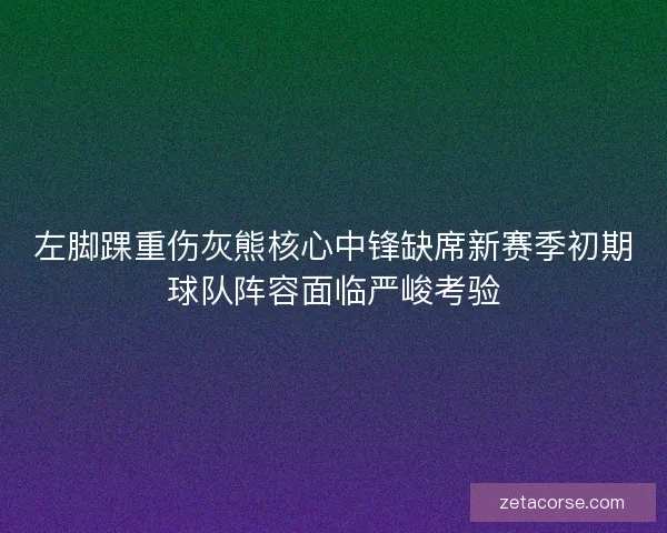 左脚踝重伤灰熊核心中锋缺席新赛季初期球队阵容面临严峻考验