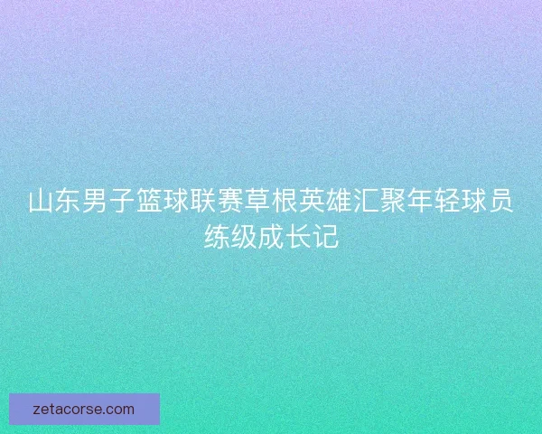 山东男子篮球联赛草根英雄汇聚年轻球员练级成长记